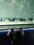 アクアワールド茨城県大洗水族館に投稿された画像（2024/7/27）