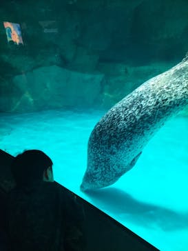 アクアワールド茨城県大洗水族館に投稿された画像（2024/7/27）