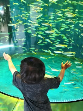 アクアワールド茨城県大洗水族館に投稿された画像（2024/7/27）