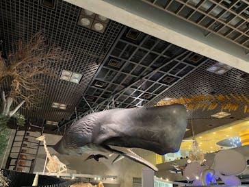 国立科学博物館に投稿された画像（2024/7/27）