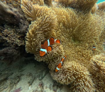  マリンショップHAPPYに投稿された画像（2024/7/27）