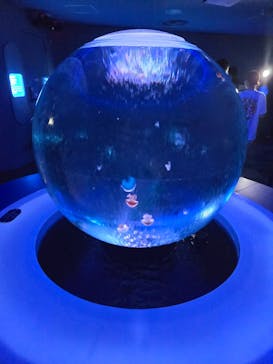 新江ノ島水族館に投稿された画像（2024/7/27）