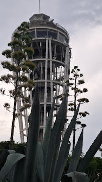 江の島シーキャンドルに投稿された画像（2024/7/27）