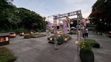 江の島シーキャンドルに投稿された画像（2024/7/27）