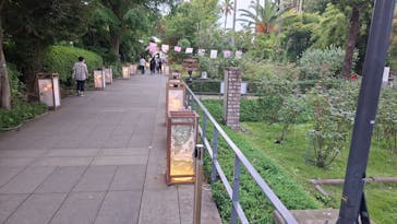 江の島シーキャンドルに投稿された画像（2024/7/27）