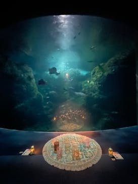 新江ノ島水族館に投稿された画像（2024/7/27）