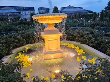 京成バラ園に投稿された画像（2024/7/27）