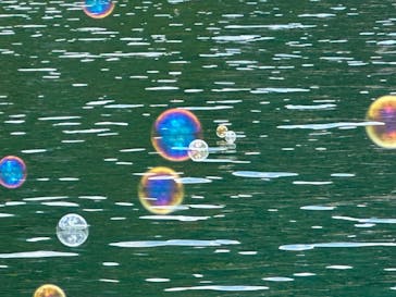 大町・青木湖アドベンチャークラブに投稿された画像（2024/7/27）