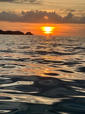 響SUPに投稿された画像（2024/7/27）