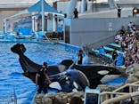名古屋港水族館に投稿された画像（2024/7/27）