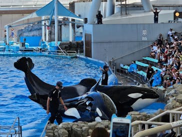 名古屋港水族館に投稿された画像（2024/7/27）