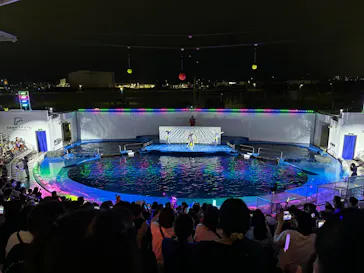 仙台うみの杜水族館に投稿された画像（2024/7/27）