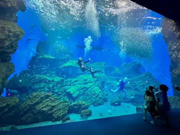 仙台うみの杜水族館に投稿された画像（2024/7/27）