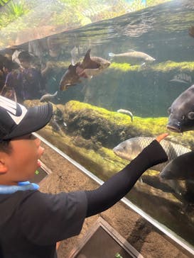 鴨川シーワールドに投稿された画像（2024/7/27）