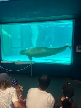 鴨川シーワールドに投稿された画像（2024/7/27）