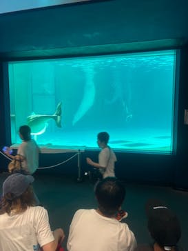 鴨川シーワールドに投稿された画像（2024/7/27）