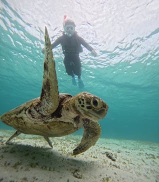 nico 宮古島に投稿された画像（2024/7/27）