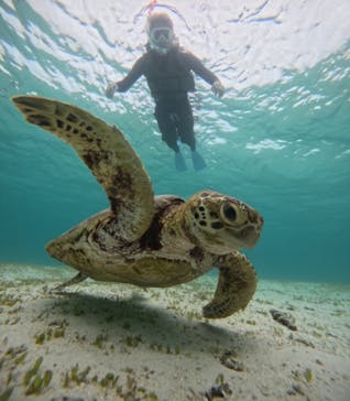 nico 宮古島に投稿された画像（2024/7/27）