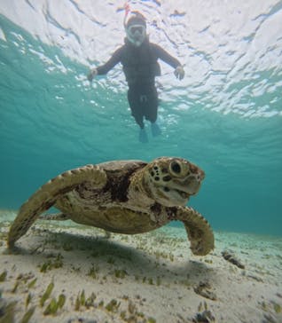 nico 宮古島に投稿された画像（2024/7/27）