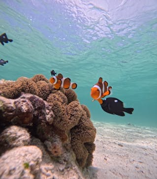 nico 宮古島に投稿された画像（2024/7/27）