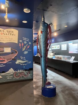 下田海中水族館に投稿された画像（2024/7/27）