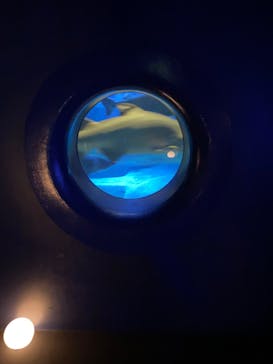 アクアワールド茨城県大洗水族館に投稿された画像（2024/7/27）