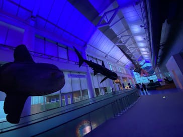 アクアワールド茨城県大洗水族館に投稿された画像（2024/7/27）