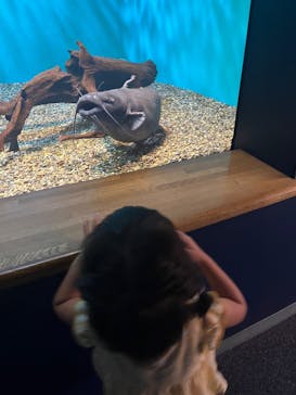 滋賀県立琵琶湖博物館に投稿された画像（2024/7/27）