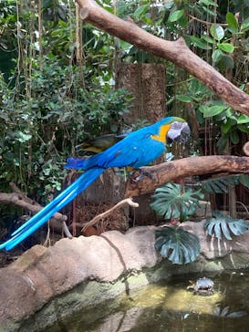 神戸どうぶつ王国に投稿された画像（2024/7/27）