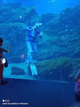 仙台うみの杜水族館に投稿された画像（2024/7/27）