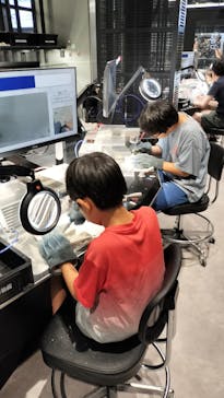 福井県立恐竜博物館に投稿された画像（2024/7/27）