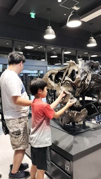 福井県立恐竜博物館に投稿された画像（2024/7/27）