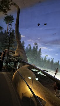 福井県立恐竜博物館に投稿された画像（2024/7/27）