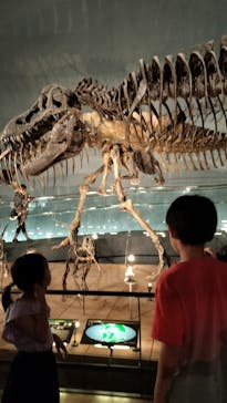 福井県立恐竜博物館に投稿された画像（2024/7/27）