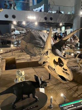 福井県立恐竜博物館に投稿された画像（2024/7/27）