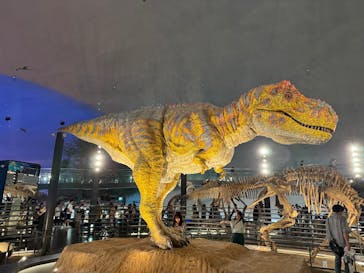 福井県立恐竜博物館に投稿された画像（2024/7/27）