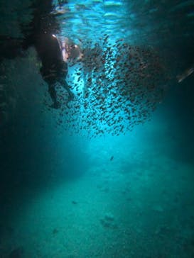 沖縄マリンサービス碧に投稿された画像（2024/7/27）