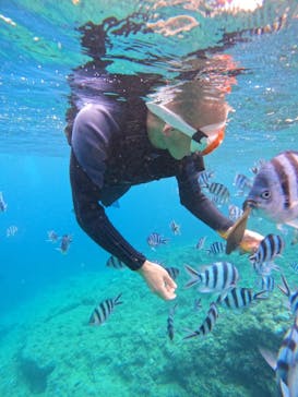 沖縄マリンサービス碧に投稿された画像（2024/7/27）