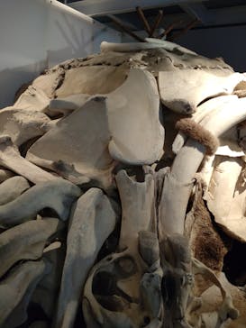 国立科学博物館に投稿された画像（2024/7/27）