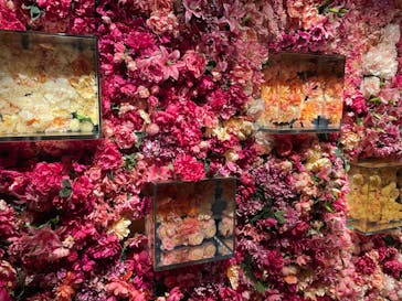 NARA KINGYO MUSEUMに投稿された画像（2024/7/27）