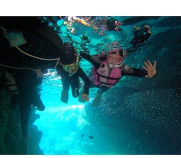 武藤潜水に投稿された画像（2024/7/28）