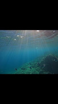 武藤潜水に投稿された画像（2024/7/28）