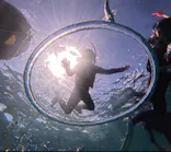 武藤潜水に投稿された画像（2024/7/28）