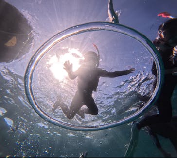 武藤潜水に投稿された画像（2024/7/28）