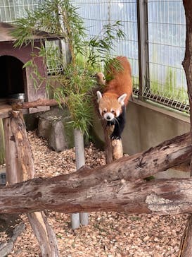 熱川バナナワニ園に投稿された画像（2024/7/28）