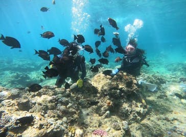 CAVE OKINAWAに投稿された画像（2024/7/28）