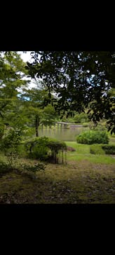 修善寺虹の郷に投稿された画像（2024/7/28）