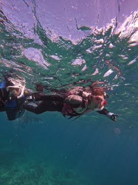 武藤潜水に投稿された画像（2024/7/28）