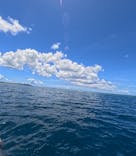 西表島 ADVENTURE PiPi（アドベンチャーピピ）に投稿された画像（2024/7/28）