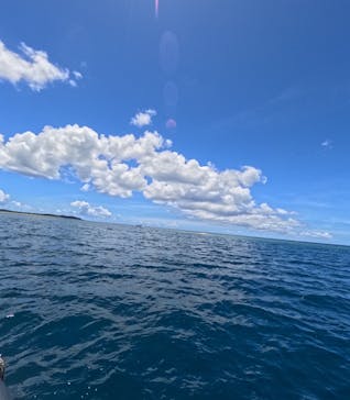 西表島 ADVENTURE PiPi（アドベンチャーピピ）に投稿された画像（2024/7/28）